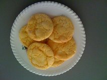Custard and White Chocolate Chip Biscuits
